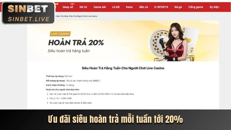 Hoàn Trả Nổ Hũ Hàng Ngày/Tuần